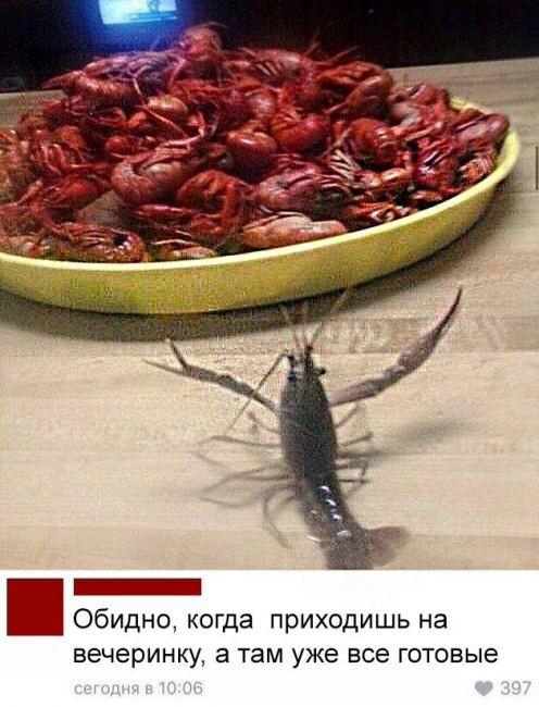 Вечеринка в самом разгаре...