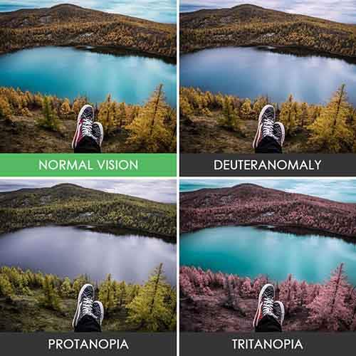 different-types-color-blindness-photos-7
