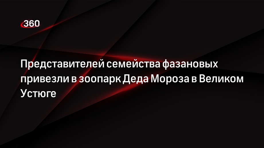 Представителей семейства фазановых привезли в зоопарк Деда Мороза в Великом Устюге