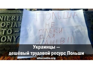 Украинцы — дешёвый трудовой ресурс Польши