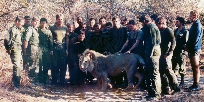 Пингвин Нильс Олаф и еще 4 экзотических животных-талисманов армий мира Пингвин Нильс Олаф и еще 4 экзотических животных-талисманов армий мира животные,интересное,курьезы,природа