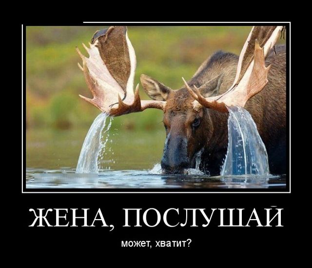Позитивные и веселые демотиваторы для поднятия настроения (11 фото)