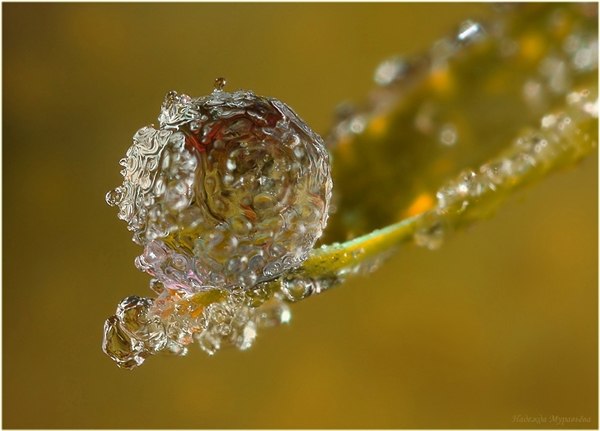 Капли воды как произведение искусства