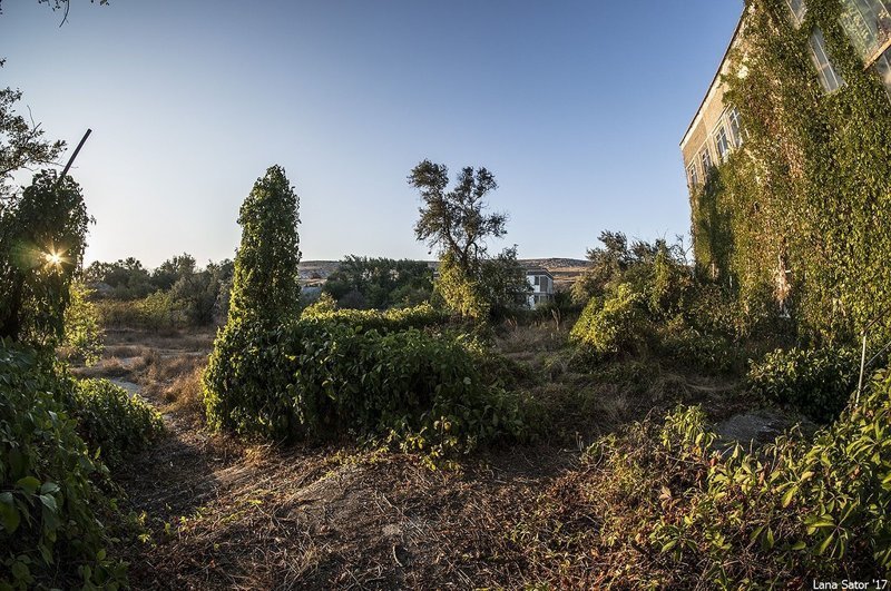 Заросший пионерский лагерь в Крыму Заросший пионерский лагерь в Крыму самостоятельные путешествия,туризм