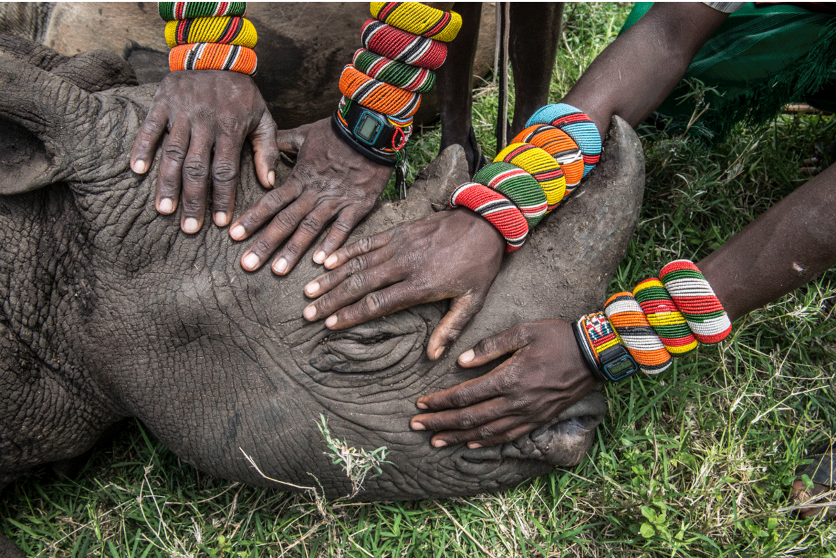 Reteti Elephant Sanctuary, Kenya 
Ami Vitale | Missoula, United States