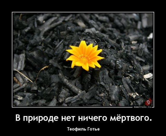 Демотиваторы – приколы: «Со своей сменкой» 