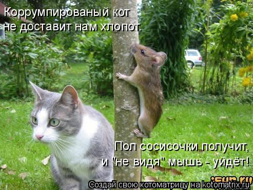 Мысли вслух :)