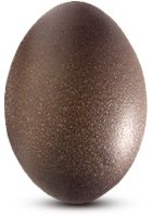 Сравнение яиц домашней птицы по вкусу, питательности и пользе Сравнение яиц домашней птицы по вкусу, питательности и пользе питание