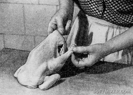 Чем кормили в советских столовых 