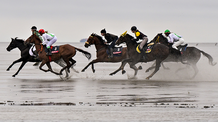 ПАТРИОТЫ, РУСОФОБЫ И ТЁМНЫЕ ЛОШАДКИ: ВСЕ СЮРПРИЗЫ "НАРОДНОГО ГОЛОСОВАНИЯ"