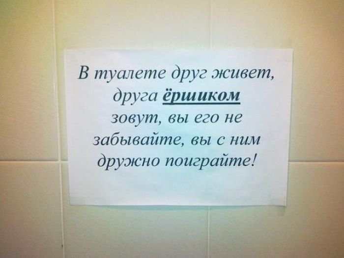 Прикольные картинки в туалет на стену с надписями