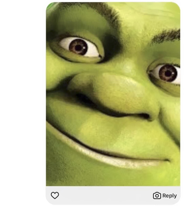 funny-sexting-response-shrek-6