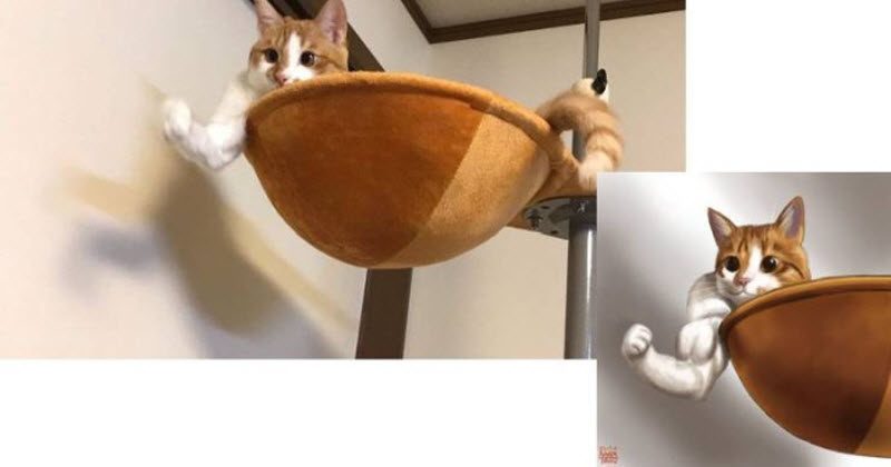 Милый, я пойду с подружками погуляю! Милый, я пойду с подружками погуляю! анекдоты,веселье,демотиваторы,приколы,смех,юмор