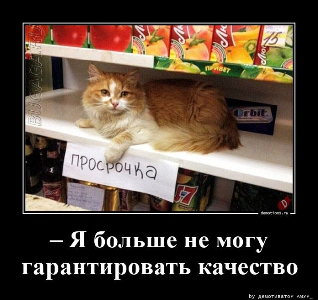 Большая коллекция демотиваторов: «Так я понял, что слушать родителей необходимо» 