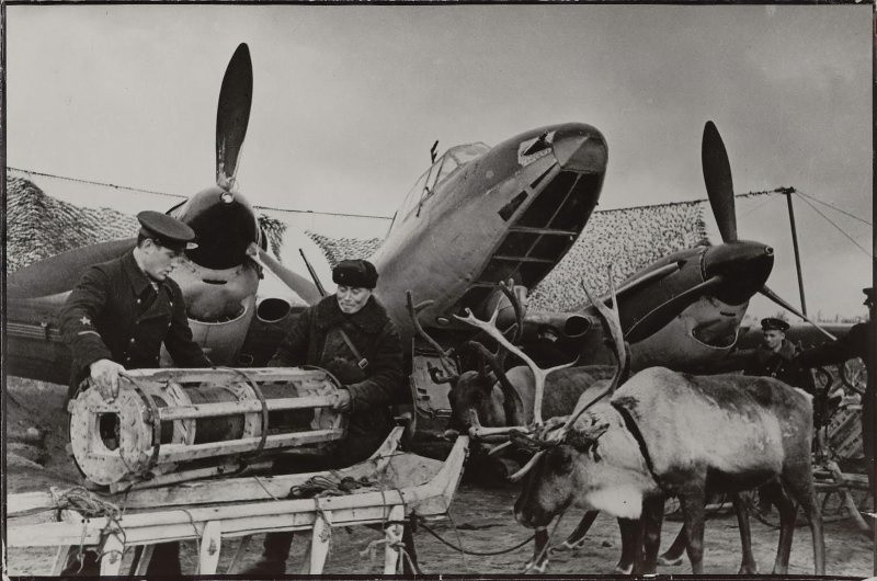 фронт и тыл Великой Отечественной на снимках советских военных фотографов haldey 800 2