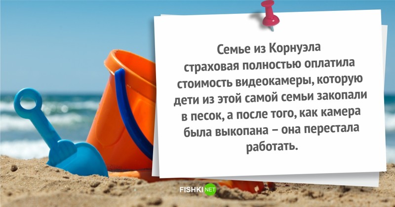 Ты страхуй, иль не страхуй, все равно получишь интересно, курьезы, смешно, страхование