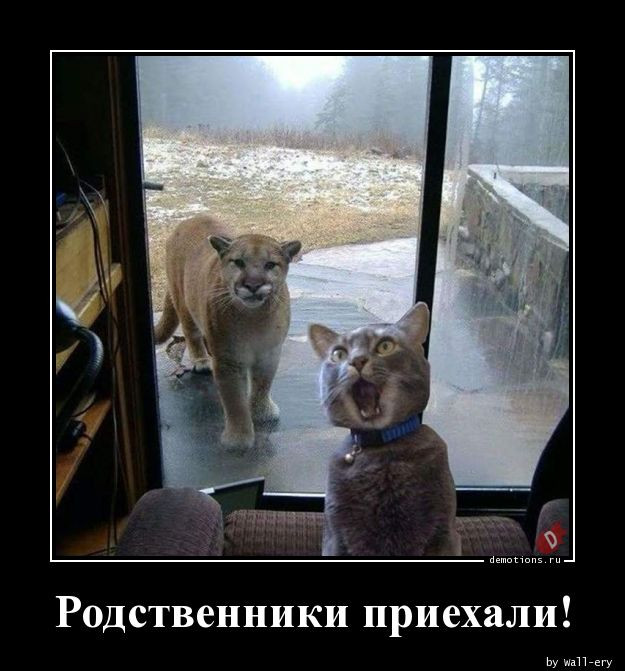 Демотиваторы на четверг: «Замечательный мужик…» 