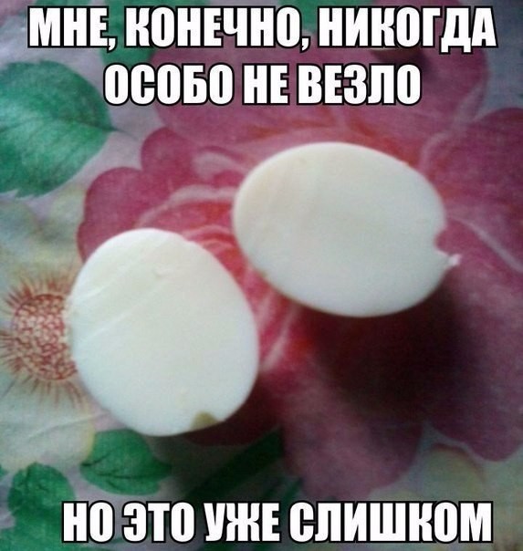 Пробка - это дураки и дороги в одном месте                           
