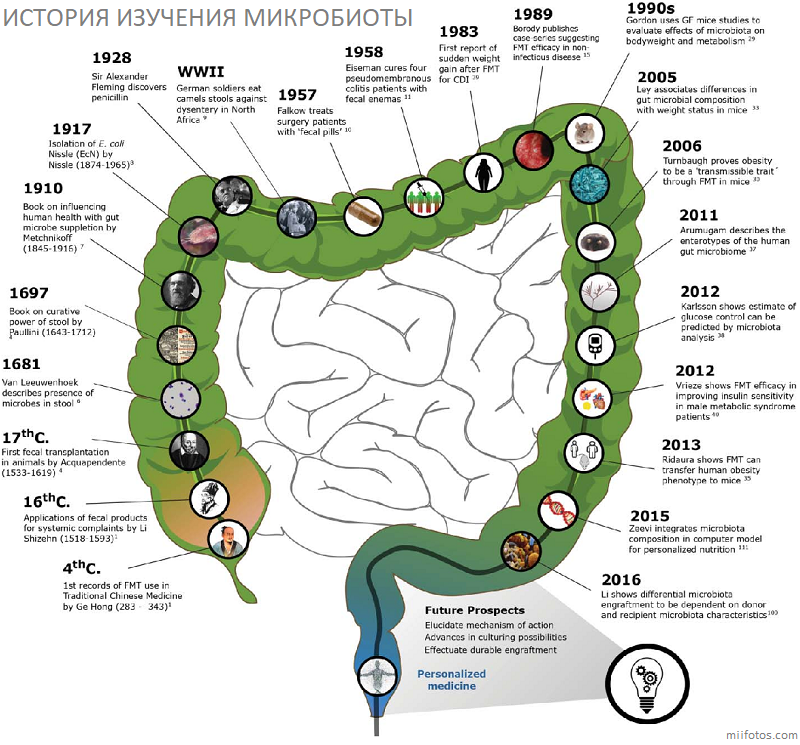 Микробиота ожирения микробиоты, ожирения, микробиоту, человека, микробиота, через, бактерий, антибиотиков, образом, Таким, более, массы, геном, которые, мышей, микрофлорой, время, трансплантации, может, также