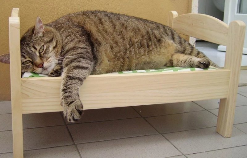 Как сделать лежанку для кота над батареей батарея, кот, лежанка, сделать