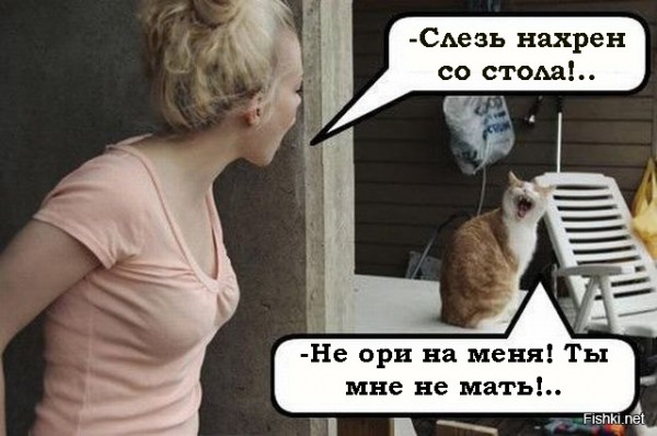 Кем нас считают кошки? Импринтинг у кошек.