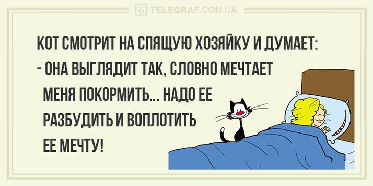 Лучший юмор с просторов Сети: 30 анекдотов и шуток в картинках, чтоб посмеяться от души 