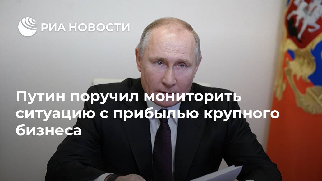 Путин поручил мониторить ситуацию с прибылью крупного бизнеса Лента новостей