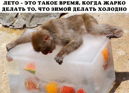 Юмористические жизненные ситуации в картинках Юмористические жизненные ситуации в картинках