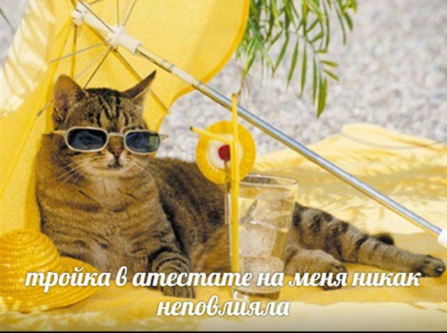 Подборка прикольных картинок Подборка прикольных картинок смешные картинки