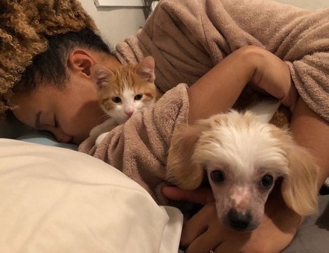 Пес кот и хозяйка