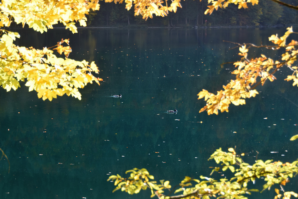 Австрийские зарисовки. Горные озера Австрийские зарисовки. Горные озера