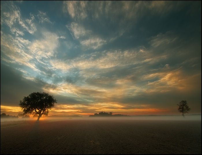 Imagini pentru Кшиштоф Бровко (Krzysztof Browko