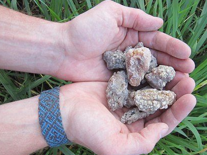 Вот самый мощный враг геморроя! Чтобы "выкорчевать" геморрой, нужен густой ...