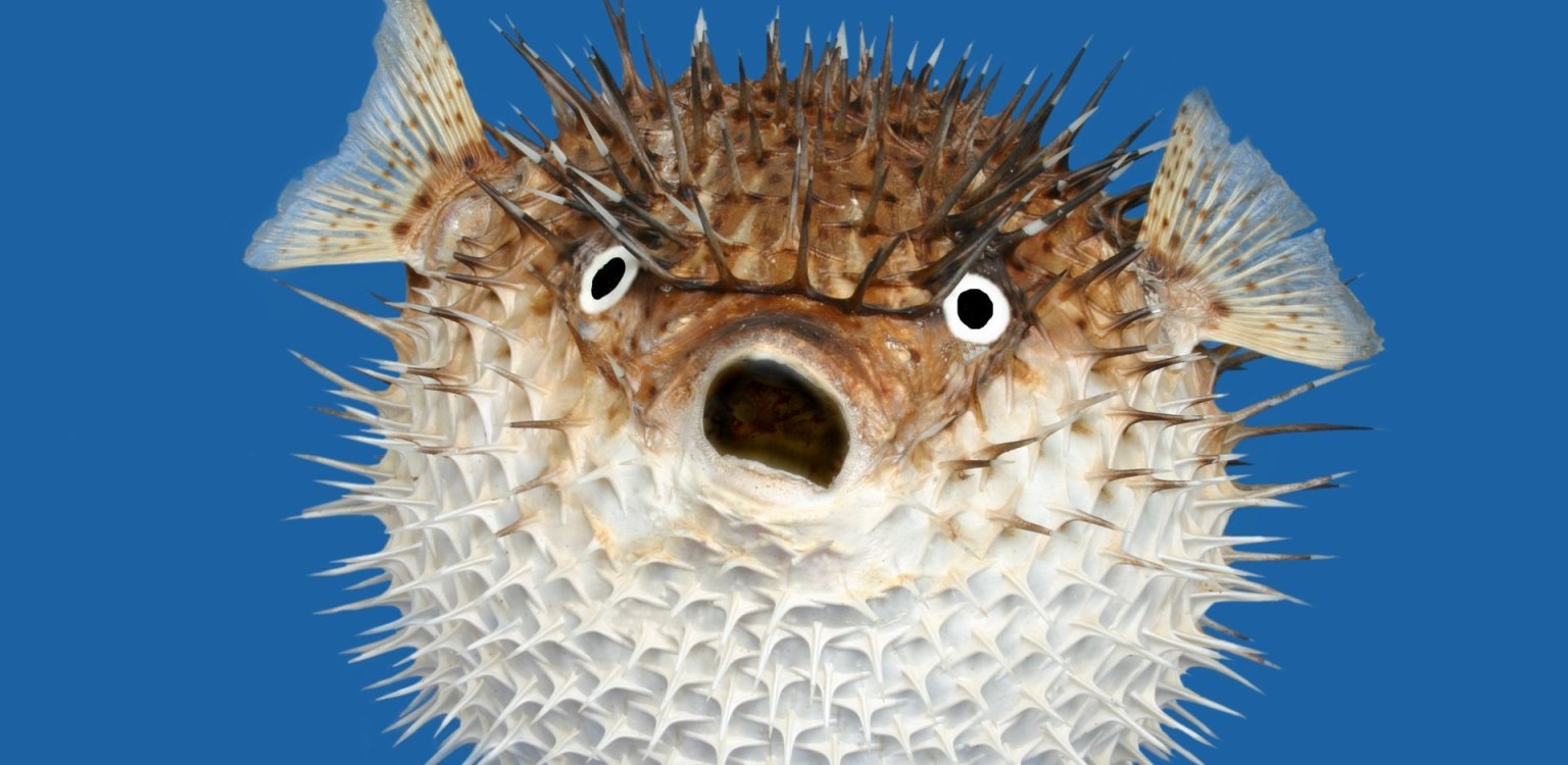 10 уникальных смертоносных животных биология,животные,животный мир,наука