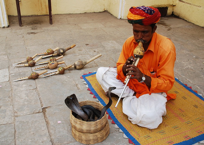 Индийские йоги, факиры, заклинатели змей владели искусством гипноза с древних времен