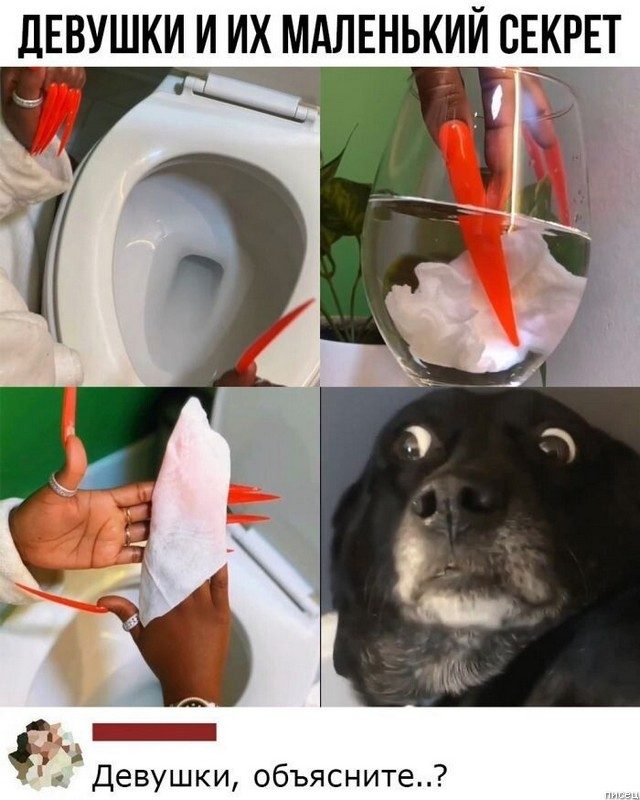 100% приколюхи июля из социальных сетей 100% приколюхи июля из социальных сетей позитив,смешные картинки,юмор