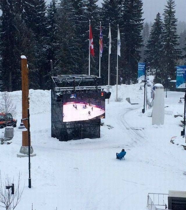 Подборка весёлых картинок дня