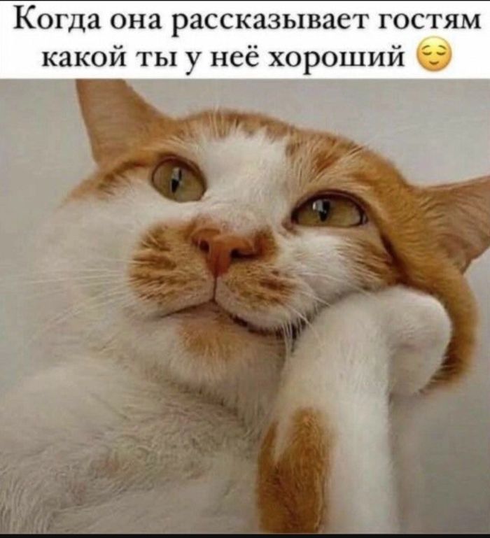 Юмор для тех, кто уже повзрослел и понял, что «золотое время» — это после зарплаты и до первых платежей Юмор для тех, кто уже повзрослел и понял, что «золотое время» — это после зарплаты и до первых платежей