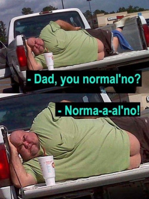 Прикольные картинки дня (50 шт)