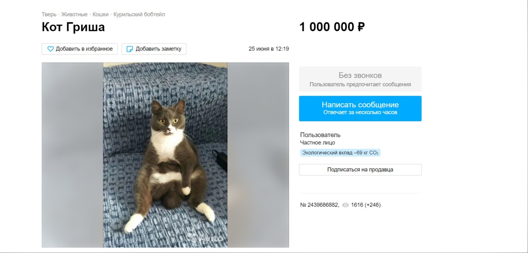 Житель Твери продает кота за 1 миллион рублей