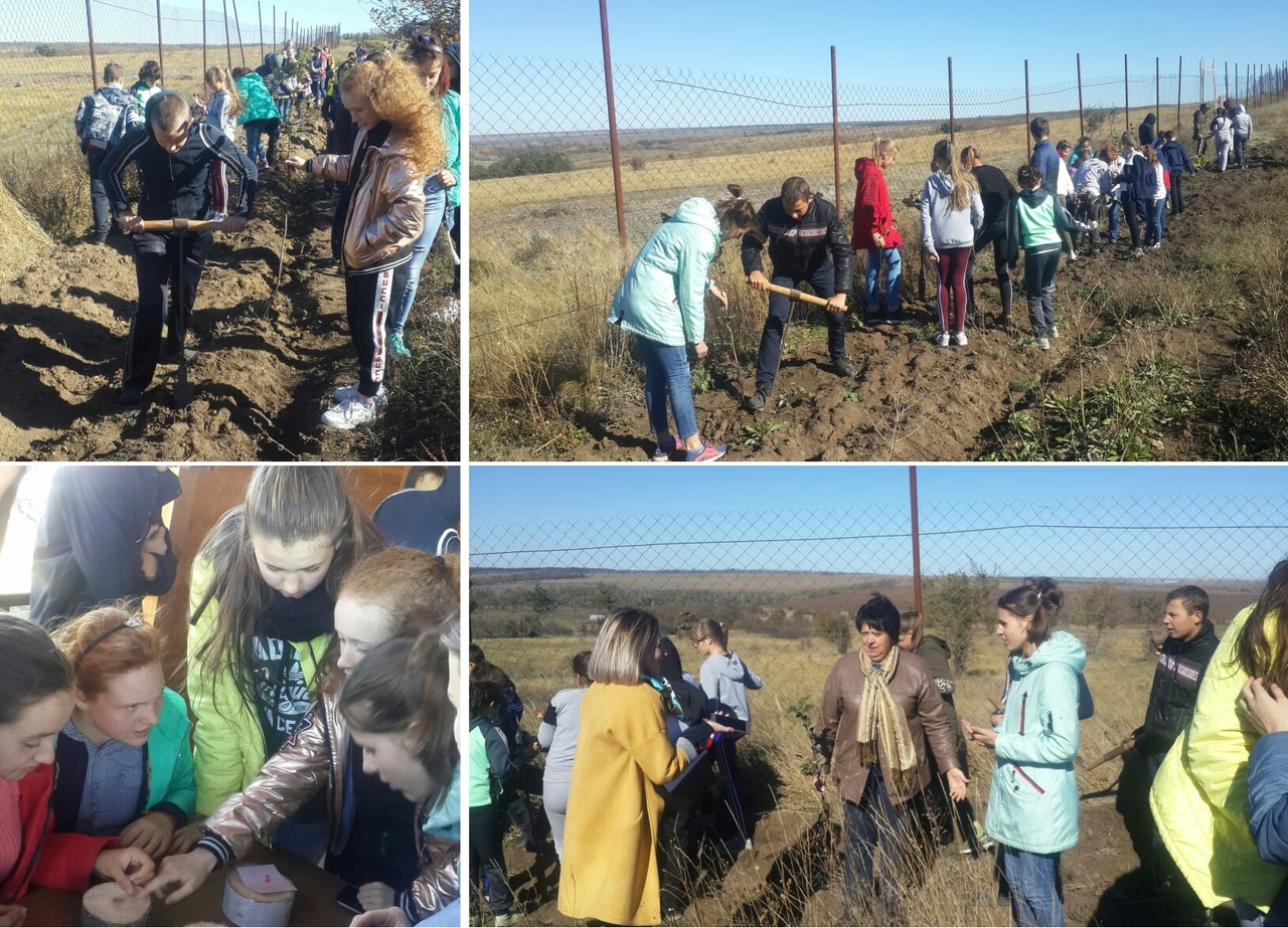 Погода в хуторе бураковском. Хутор большая Федоровка Красносулинский район. Х большая Федоровка Красносулинского района. Хутор большая Федоровка Красносулинский район Ростовская область. Киселевская школа Красносулинский район.