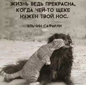 Из школьных сочинений Из школьных сочинений капли, другой, часто, Тараса, борьбу, Гулливером, поднялись, лилипуты, велика•, После, гражданской, войны, стала, страна, смотрел, восстанавливать, разруху•, отсутствие, Онегина, Татьяна