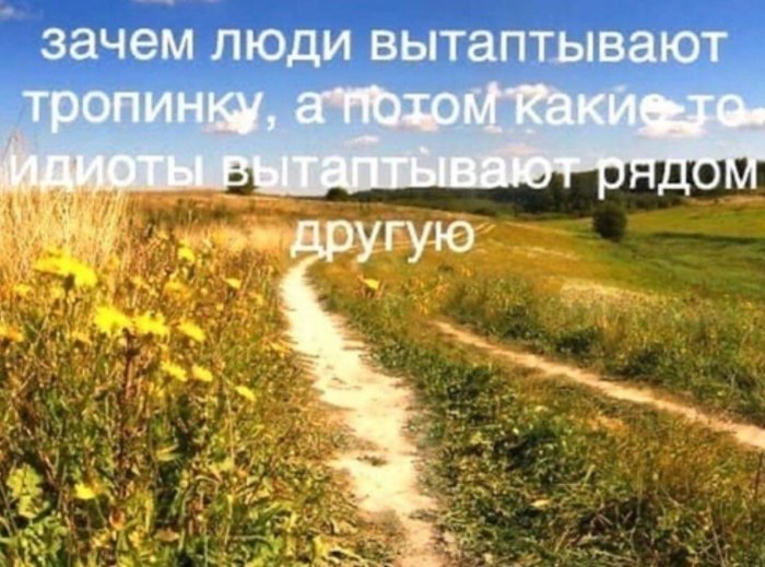 Весело и забавно Весело и забавно позитив,смешные картинки,юмор