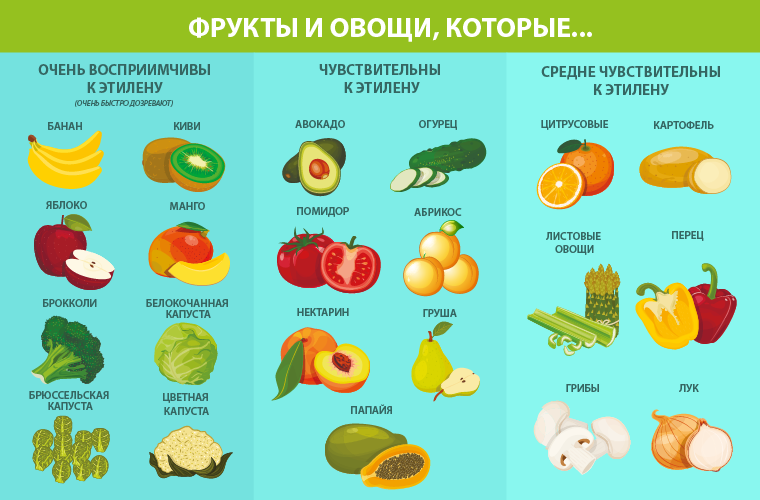 Таблица. Фрукты и овощи, восприимчивые к этилену