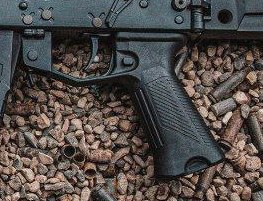 АК-ЭВО. Он же, АК Эволюция АК-ЭВО. Он же, АК Эволюция оружие