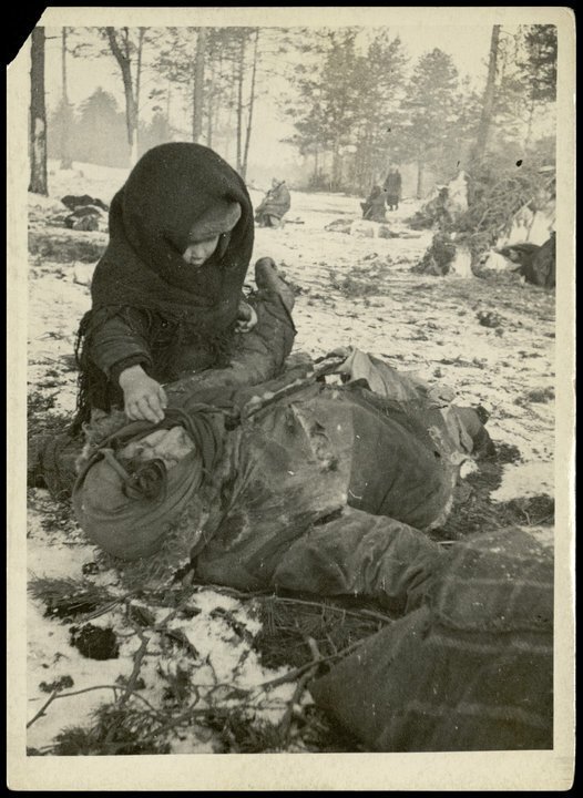 Простили, но не забыли Озаричи, война, история, факты