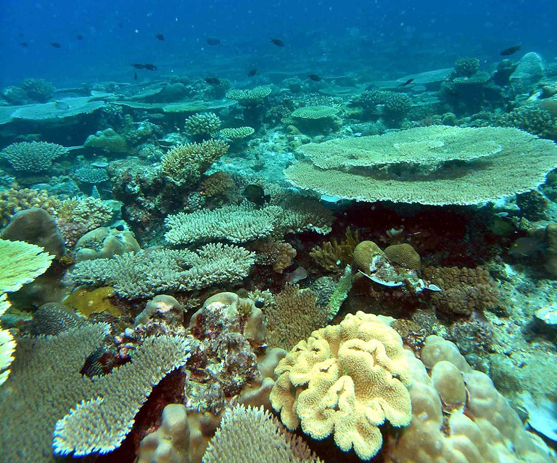 5 стран мира, где мало туристов и можно замечательно отдохнуть 5 стран мира, где мало туристов и можно замечательно отдохнуть авиатур