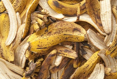 Как сделать удобрение из банановой кожуры для комнатных растений? советы