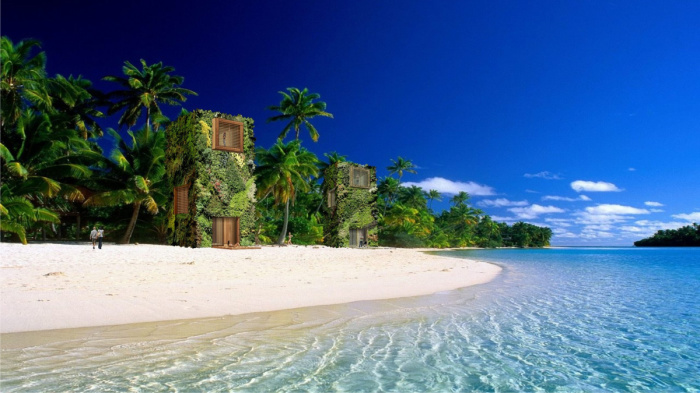 Создание эко-домов с «живыми» фасадами скоро поставят на поток: голландцы показали уникальные образцы архитектура,вертикальное озеленение,эко-дома