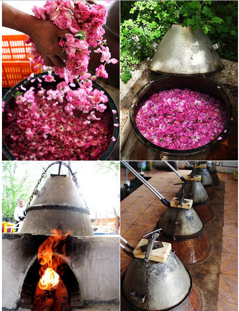 Голаб - розовая вода парфюмерия, духи, роза, розовая вода, рецепт, инструкция, кулинария, длиннопост